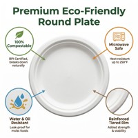 Assiettes de fête fantaisie jetables en bagasse de canne à sucre de 10 pouces, biodégradables, compostables, écologiques, blanches, vente en gros