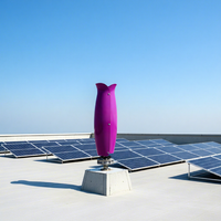 Turbine éolienne verticale esthétique 2kW 24v 48v pour parc, rue, jardin, système d'alimentation hybride hors réseau 2kW, lévitation magnétique triphasée