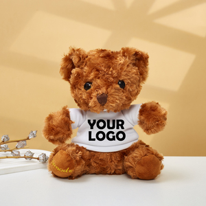 18CM Logo khusus mainan maskot Teddy Bear rumah sakit gereja promosi hadiah wisuda Souvenir kustom T-shirt Logo mainan mewah murah - Product Image 1
