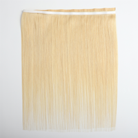 Extensions de cheveux humains 12A à bandes adhésives, teintes, sans couture, longues, double trame, cheveux vierges européens, qualité salon, directement de l'usine