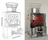 NS2000E-4 Commerciële Automatische Sinaasappelpers 120W RVS Citruspers 20 stuks/min voor Cafés