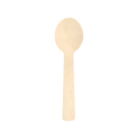 Cuillère de dégustation miniature en bois biodégradable résistante à la chaleur, écologique, personnalisable et recyclable pour le camping