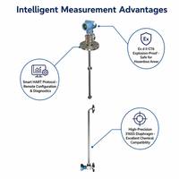 Medidor de Densidad de Líquidos Inteligente en Línea DS18 HART, Sensor de Presión Diferencial, Pantalla LCD, Salida 4-20mA, Diafragma de Acero Inoxidable SS316, para Químicos y Alimentos