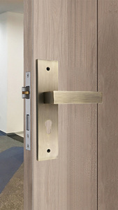 Hot Sales Zinc Alloy Lever Pull Handles <strong>Bedroom</strong> Interior <strong>Door</strong> Mortise Lock Handle Set Metal <strong>Knobs</strong> <strong>Door</strong> Lock for Interior <strong>Door</strong> - Product Image 6