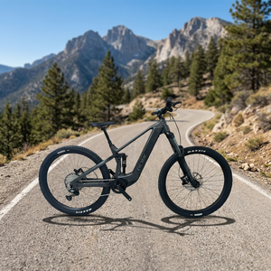Carbon Full Suspension E-Bike EM19 AM Mountain Bike M820 Mid Motor 12 Speed Hydraulic Lithium Battery EM19(M6100/12S+M820 Premiu - Product Image 5