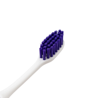 Brosse à dents manuelle en plastique pour adultes avec logo personnalisé, emballée individuellement, pour hôtels, fourniture en gros