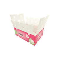 Boîte en plastique ondulé PP Yuexin pour le stockage et le transport des fruits et légumes, personnalisable, robuste, empilable, imperméable et durable