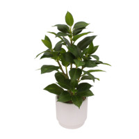 Tizen fausse Simulation plante verte olivier artificiel herbe en pot petites plantes avec Potsl plante d'eucalyptus d'intérieur en Pot