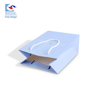 Sac en papier laminé personnalisé en gros, sac en papier pour cadeau, sac cadeau personnalisé avec logo et poignée en ruban