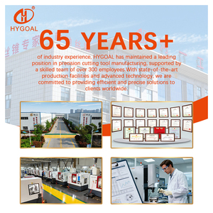 Maschio per Filettatura HYGOAL OEM ODM in Acciaio HSS 6542 Rivestito in Ti, M3-M36, con Scanalatura a Spirale per Macchine Filettatrici - Product Image 6