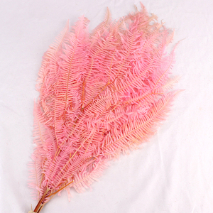 Fleurs séchées, pièces, plantes décoratives, vente en gros - Product Image 1