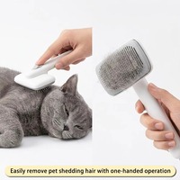 Brosse de toilettage autonettoyante pour animaux de compagnie, éliminateur de poils en un clic, brosse lissante professionnelle pour chiens et chats, outil de massage anti-chute de poils