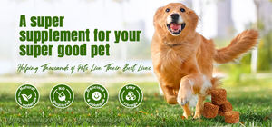 Camilan Jamur Turkey Tail untuk Anjing Peliharaan, Permen Karet Jamur, Suplemen Kesehatan Hewan Peliharaan - Product Image 6