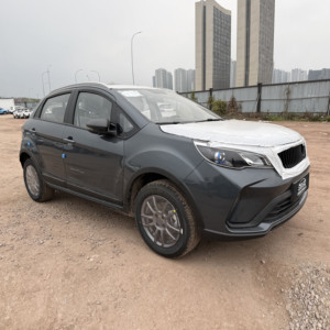 Voiture compacte SUV Geely Livan X3 Pro 1.5L grise 2025 à prix abordable, directement de l'usine, avec transmission automatique CVT, 5 portes, 5 places, essence, traction avant - Product Image 6