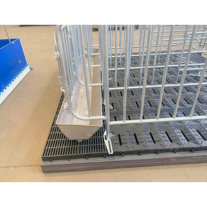 Nueva Jaula de Gestación para Cerdas HengYin HY-AFS con Diseño de Puerta Trasera, Material Galvanizado en Caliente, Larga Vida Útil, Certificación CE ISO 1 - Product Image 4