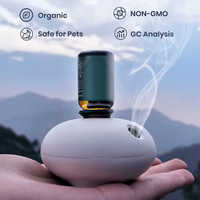 Diffuseur d'arômes à bulles sans eau USB portable, vaporisateur de parfum Elf, diffuseur d'huiles essentielles de table avec capteur de mouvement intelligent