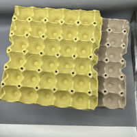 PTPACK Vente en vrac Cartons d'oeufs Biodégradables 30 Cellules Oeufs de Poulet Plateau de Pâte à Papier
