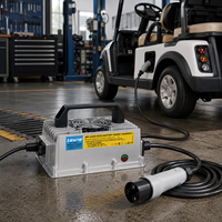 Cargador de Batería Inteligente LiFePO4 de 25.55V 20A para Sillas de Ruedas de 24V, Montacargas, Scooters, Embarcaciones, RV, Suministro de Fábrica OEM ODM