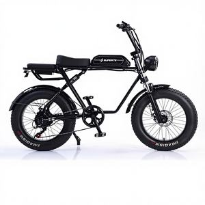 Tricycle électrique chinois à trois roues pour adultes, 600 W, vitesse unique, avec cadre en acier à haute teneur en carbone, pneus larges 48 V - Product Image 1