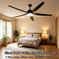Ventilateur de plafond à 5 pales, 66 pouces, noir mat, en fer et ABS, moteur BLDC, 6 vitesses, réversible, LED dimmable, télécommande, chambre, maison, hôtel