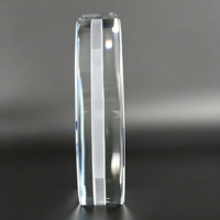 Neelpure 127431 Adorno de Cristal Biotech con Bio-Patrón Grabado Personalizable para Premios Médicos y Científicos