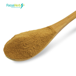 FocusHerb Extrait de corps fruiteur de champignon Reishi biologique de qualité alimentaire supérieure, 30% de polysaccharides, poudre extraite par solvant - Product Image 2