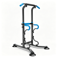 Barres parallèles multifonctionnelles en acier sur pied, barre de traction, équipement de gym à domicile, appareil d'entraînement complet pour OEM/ODM