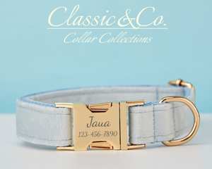 Ensemble laisse et collier personnalisés Lihtblue Veet avec boucle en métal gravée sur mesure, cadeau d'anniversaire pour chiot gratuit - Product Image 2