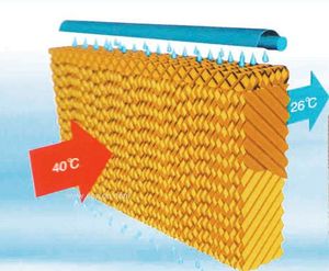 70G 80g 95g 105g giấy kraft không tráng phủ với lớp phủ nhựa hai mặt cho nông nghiệp để làm mát bao bì CuộN Jumbo - Product Image 5