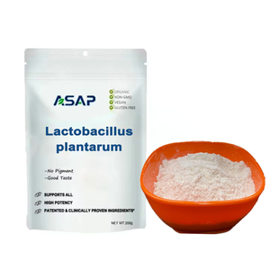 Lactobacillus plantarum en poudre, probiotiques de marque privée, complément alimentaire - Product Image 2
