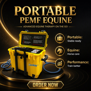 เครื่องบำบัด PEMF แบบพกพาในกระเป๋าเดินทางปรับแต่งได้ ช่วยลดอาการบวมของเนื้อเยื่อ อุปกรณ์บำบัดด้วยแม่เหล็ก PEMF สำหรับสัตว์ สำหรับคลินิกสัตว์ - Product Image 1
