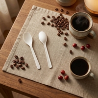 Petits couverts écologiques en CPLA (couteau/fourchette/cuillère/spork) pour pâtisserie/gâteau, options de couleur personnalisées et impression de logo, DIN/BPI/OK