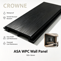 Panneau mural extérieur en WPC ASA noir résistant aux intempéries 100x16mm, parement ignifuge pour mur extérieur, maison moderne