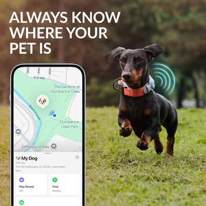 Collar de Lujo para Perro con Soporte de Cuero Reflectante para Apple AirTag, Diseño de Logotipo Personalizado, Ajustable y Duradero para Perros y Gatos - Product Image 3