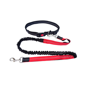 Usine directe luxe Style solide rubans multifonctionnel rétractable élastique chien collier pour animaux de compagnie course sport rétractable sport - Product Image 3