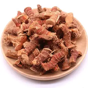 ZZH Single Spices&herb supplier wholesales top-quality fresh galangal dried galangal root price