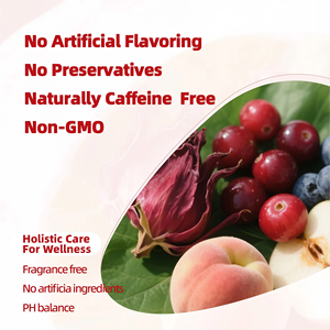 Té Herbal Orgánico Detox Yoni Wellness OEM con Hibisco, Arándano, Arceína, Melocotón, Manzana y Espino Blanco para el Bienestar Femenino - Caja de 10 Tés - Product Image 6