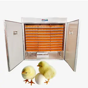 Incubadoras de huevos, máquina automática para incubar, 220 V