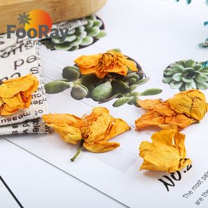 สมุนไพรจีนโบราณ จินเหลียนฮวา ดอกไม้แห้งสำหรับขจัดความ<span class=keywords><strong>ร้อน</strong></span>และสารพิษ - Product Image 3