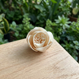 Difusor de Madera Sola Sostenible de 5 cm, Decoración Ecológica para el Hogar con Varillas Secas, Flores Decorativas Blancas Inspiradas en Bodas y Eventos para Interiores - Product Image 2
