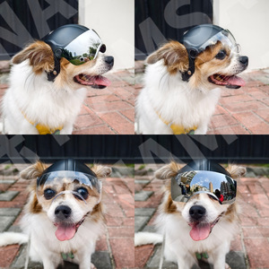 Casque pour chien avec lunettes de protection, en plastique durable, pour la conduite en extérieur, pour petits chiens, forme arrondie tendance, utilisation toutes saisons - Product Image 4