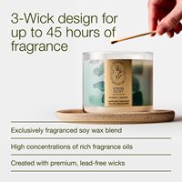 Bougie artisanale Oshine à la menthe verte et à l'eucalyptus, 3 mèches, en cire de soja, parfum longue durée, haute concentration d'aromathérapie pour la maison