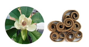 Top Quality Cosmetic Ingredients <strong>Magnolia</strong> Bark Extract Honokiol 98% Honokiol <strong>Powder</strong> Magnolol <strong>Powder</strong> - Product Image 3