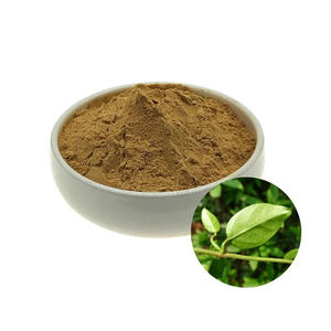 Extrait de plantes de Spoon Vine soluble dans l'eau, poudre de plantes de Spoon Vine de qualité alimentaire - Product Image 1