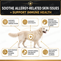 Friandises à mâcher molles OEM pour chiens contre les allergies, favorisant la santé cutanée, avec oméga, probiotiques et biotine, complément qui soutient la santé de la peau