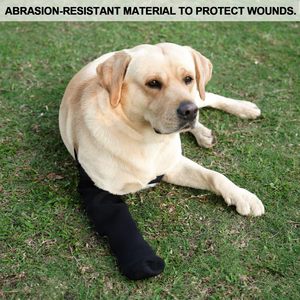 Conjunto de recuperación para perros, conjunto de recuperación postoperatoria para patas delanteras, rodilleras auxiliares para protección, equipo protector antilamido para mascotas - Product Image 4