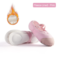 Chaussures de danse classique pour femmes en gros, personnalisées, doublées de polaire, semelle en cuir, entraînement de base, chaussures de danse moderne