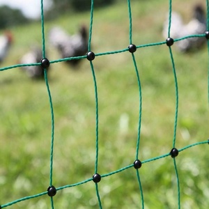 Clôture Électrique Personnalisée en Fil PE Haute Résistance avec <span class=keywords><strong>Protection</strong></span> UV 2026, 50m pour Moutons et Poulets - Product Image 5