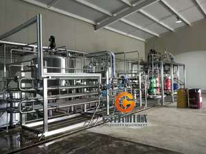 Exprimidor de alta calidad, línea de producción de pulpa de mango, fruta, jugo de manzana, línea de producción de pulpa de jugo de mango industrial, costo - Product Image 6