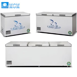 Brandneue 2-Türige Gewerbliche Gefriertruhe 220V LED-Beleuchtung für Heim- und Restaurantgebrauch mit Korb - Product Image 1